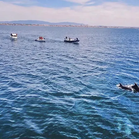 Eagles Nest By Algarve Vacation Villa Albufeira