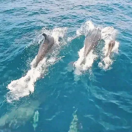 Eagles Nest By Algarve Vacation *